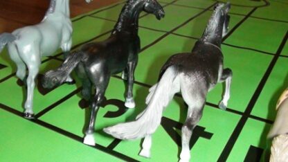 horses for wheel of chance
