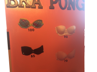 6' x 3' Bra Pong Game